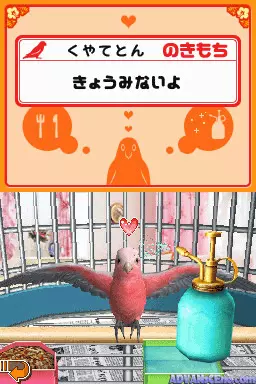 Image n° 3 - screenshots : Oshaberi Oumu